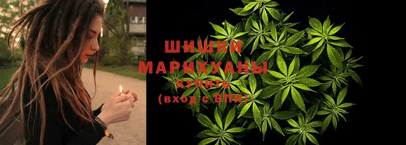 МАРИХУАНА SATIVA & INDICA  кракен ссылки  Камышлов 